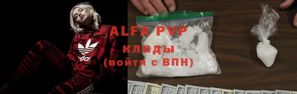 индика Богородицк