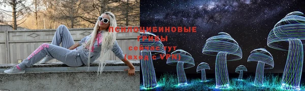 apvp Богородск