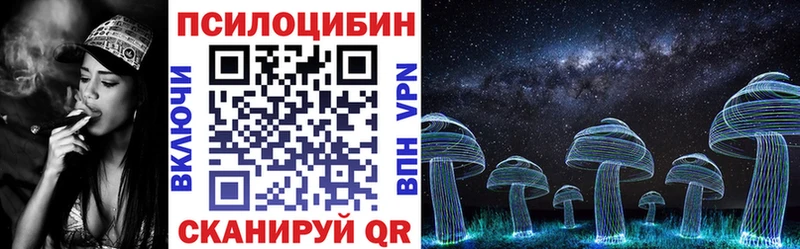 darknet телеграм Лукоянов Галлюциногенные грибы Psilocybine cubensis